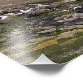 Falklandinseln, West Falkland, Saunders Fotodruck (Ecke)