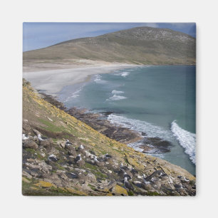 Falklandinseln, West Falkland, Saunders Magnet