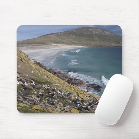 Falklandinseln, West Falkland, Saunders Mousepad (Mit Mouse)