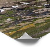 Falklandinseln, West Falkland, Saunders Poster (Ecke)