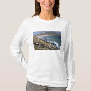 Falklandinseln, West Falkland, Saunders T-Shirt