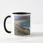 Falklandinseln, West Falkland, Saunders Tasse (Links)