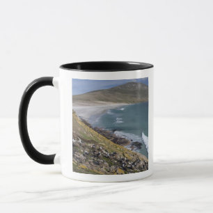 Falklandinseln, West Falkland, Saunders Tasse
