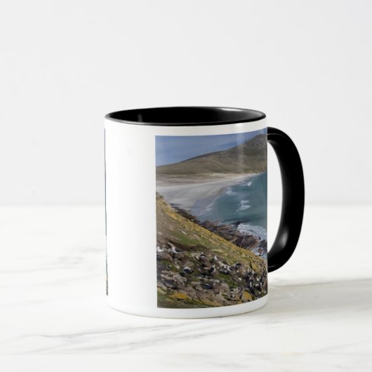 Falklandinseln, West Falkland, Saunders Tasse (VorderseiteRechts)