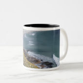 Falklandinseln, West Falkland, Saunders Zweifarbige Tasse (VorderseiteRechts)