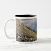 Falklandinseln, West Falkland, Saunders Zweifarbige Tasse (Links)