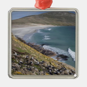 Falklandinseln, Westfalkland, Saunders Ornament Aus Metall