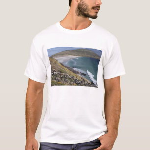 Falklandinseln, Westfalkland, Saunders T-Shirt
