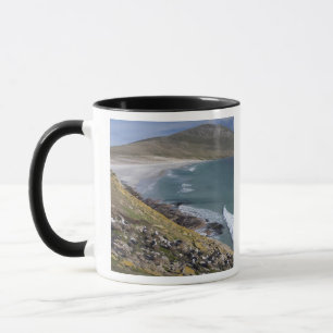 Falklandinseln, Westfalkland, Saunders Tasse