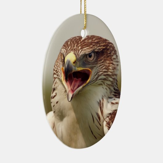 Falknerei - Falcon Ornament (Rechts)