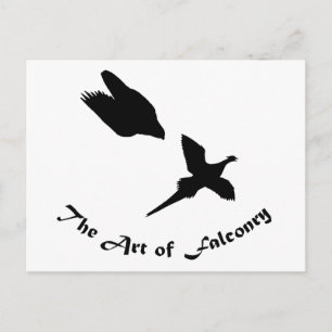 Falknerei - Peregrine Falken Postkarte