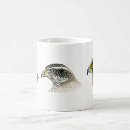 Falknerei-Tasse Kaffeetasse (Mittel)