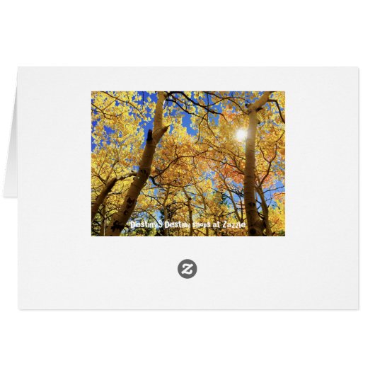 Fall (Rückseite Horizontal)