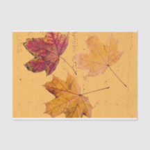 Fall Ahornleaf Brown and Orange Tissue Paper