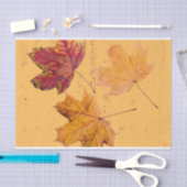 Fall Ahornleaf Brown and Orange Tissue Paper Seidenpapier (Handwerk)