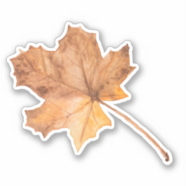 Fall Ahornleaf Vinyl Schnitt Aufkleber