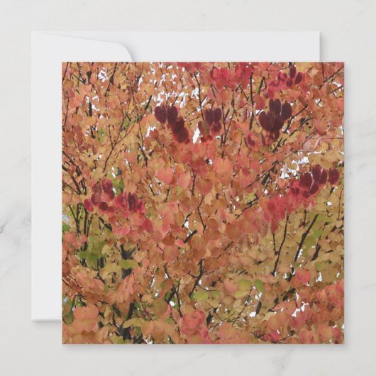 Fall alle Party Einladung (Rückseite)