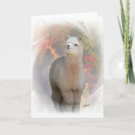 Fall Alpaca Card Karte (Vorderseite)