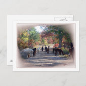 Fall Alpaca Postkarte (Vorne/Hinten)