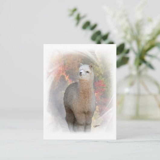 Fall Alpaca Postkarte (Stehend Vorderseite)