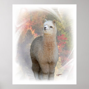 Fall Alpaca Print Poster