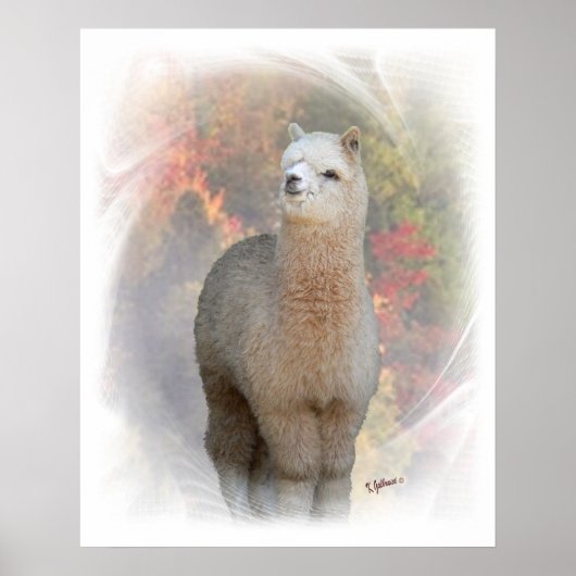Fall Alpaca Print Poster (Vorne)