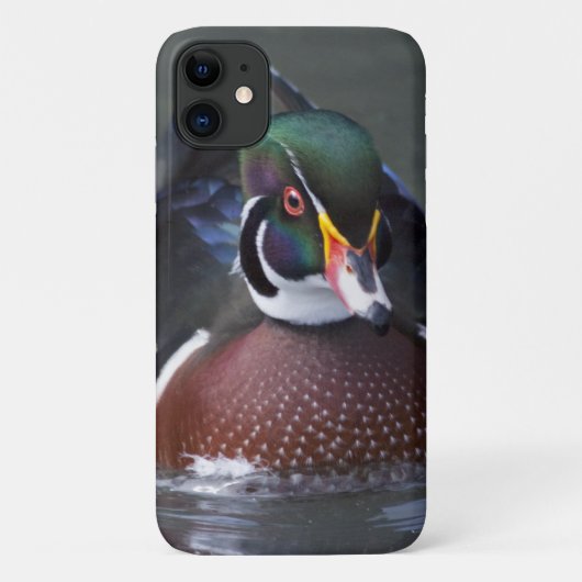 Fall American Wood Duck iPhone 11 Case-Mate iPhone Hülle (Rückseite)