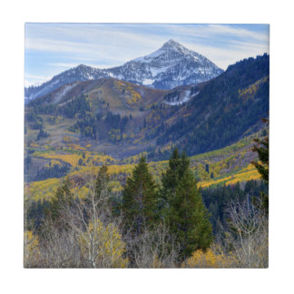 Fall an der Kaskaden-Spitze und Sundance von der Fliese
