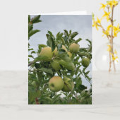 Fall Apple Orchard Karte (Gelbe Blume)