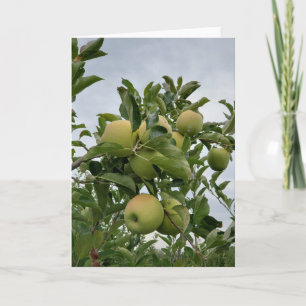 Fall Apple Orchard Karte