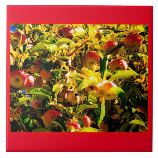 Fall Apples Tile Fliese (Vorderseite)