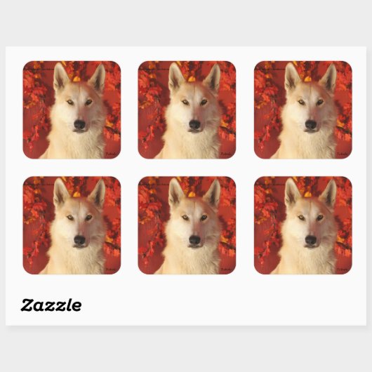 Fall Arctic Wolf Stickers (Blatt)
