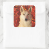 Fall Arctic Wolf Stickers (Tasche)