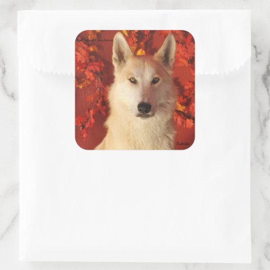 Fall Arctic Wolf Stickers (Tasche)