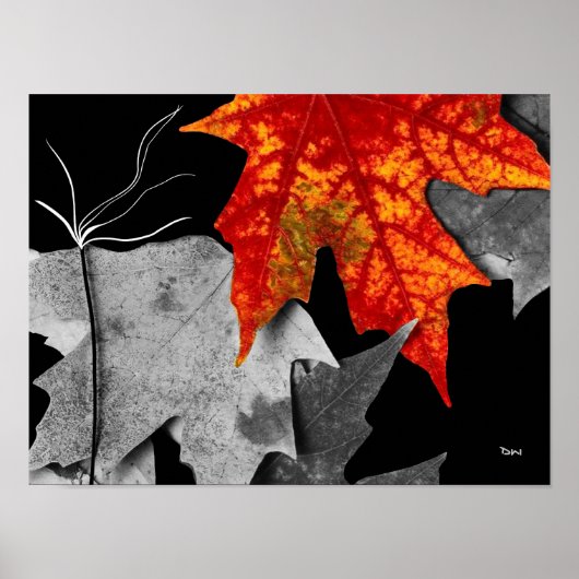 Fall Art Poster (Vorne)