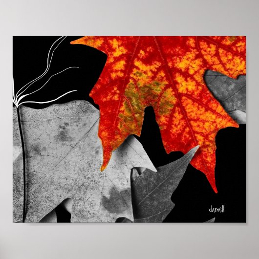 Fall Art (Standardbildgröße) Poster (Vorne)