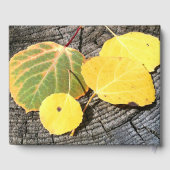 Fall Aspen-Blätter Fotografen-Altersvorsorge-Nachr Gästebuch (Rückseite)