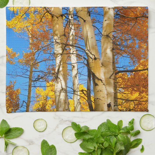 Fall Aspen Farbe Natur Foto © Sandy Long Geschirrtuch (Gefaltet)