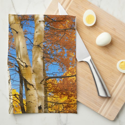 Fall Aspen Farbe Natur Foto © Sandy Long Geschirrtuch (Viertel Falte)