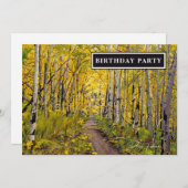 Fall Aspen Tree Forest (Vorne/Hinten)