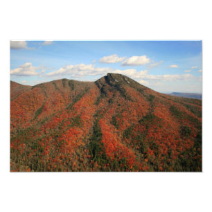 Fall auf dem Hawksbill Mountain, North Carolina Fotodruck