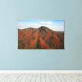 Fall auf dem Hawksbill Mountain, North Carolina Leinwanddruck (Insitu (Holzboden))