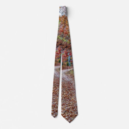 Fall auf der dirt Road Neck Tie Krawatte (Rückseite)