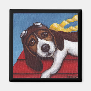 Fall auf Fliegen-As im Training Magnet