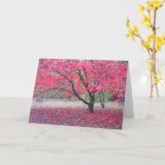 Fall-Baum Karte (Gelbe Blume)