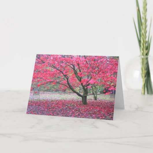 Fall-Baum Karte (Vorderseite)