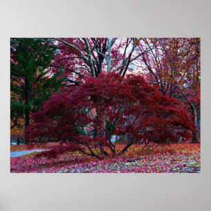Fall-Baum-Landschaft Poster
