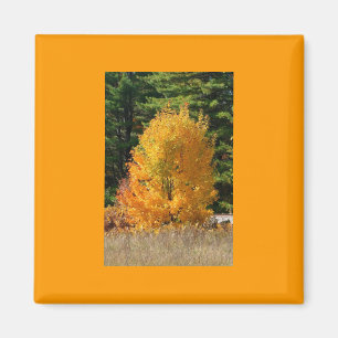 Fall-Baum-Magnet Magnet