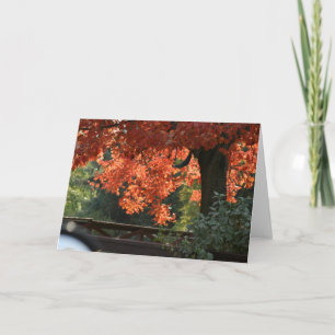 FALL-BAUM-SAISONMitteilungskarten Karte