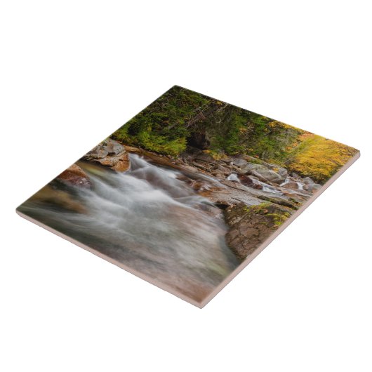 Fall bei Jefferson Brook, New Hampshire Fliese (Seite)